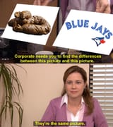corporate_needs_you_to_find_the_difference_dog-shit_jays