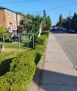 IMG_20250623_183114666_AE