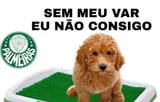 memes-sao-paulo-palmeiras-var-9