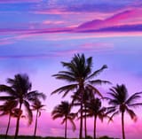 images - 2025-06-24T002300.833