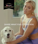 Livvydog