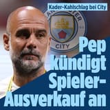 Kahlschlag