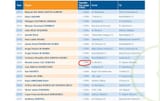 FIFA-Report