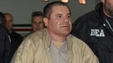el chapo