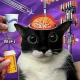 5g cat