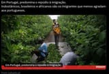 imigração zuka
