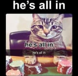 all in