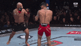 volkanovski-topuria