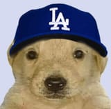 Doyer Doggo