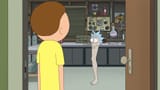 they-were-in-fact-two-different-clips-rick-turned-himself-v0-lenw316cqp1c1