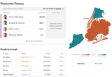 Brooklyn Primary Results