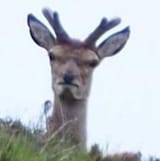 DanLloyd