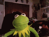 Kermit Fapper