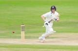 Bancroft