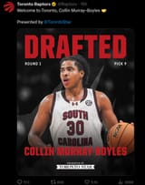 colin murray boyles raptors