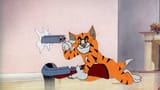 New_Tigers_Fan_Here