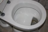 blog-german-toilet[1]