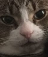 1532516114230