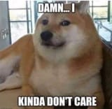 dont care