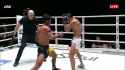 one double knockdown_thumb.jpg