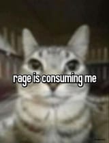 1748085082186461
