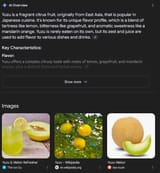 Screenshot 2025-06-27 at 11-29-36 yuzu melon - Google Search