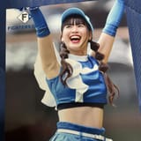 nippon-ham_fighters_