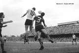 images - 2025-06-26T191951.763