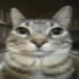1751041138488295