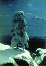 Snow Tree I