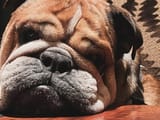 roscoe