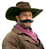 cowboy schaub