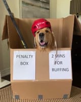 ruffing