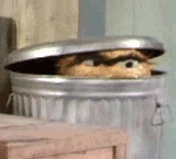 OscarGrouchEyes2