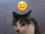 20241213_173531