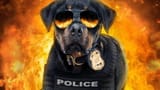 copdog2