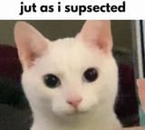 1724237782402118