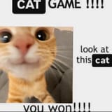 cat game1