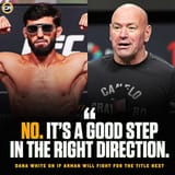 confirms-that-will-not-be-getting-the-next-lightweight-v0-47cag5tbbo9f1