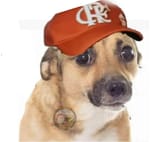 Chacorromengo