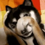images (15)