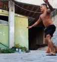 perro-capoeira_thumb.jpg