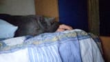 ResizedImage_IMG_20250628_223646