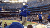 toronto-blue-jays-ace