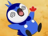 Blue_Jays_Piplup_Fainted_Pokemon_Maple_Leaf