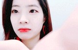 dubu_disdaing
