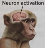 1688705068918843