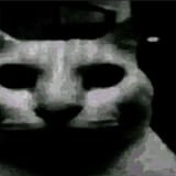 1752973817132411