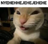 1729385415733327