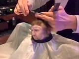 messi-macaco